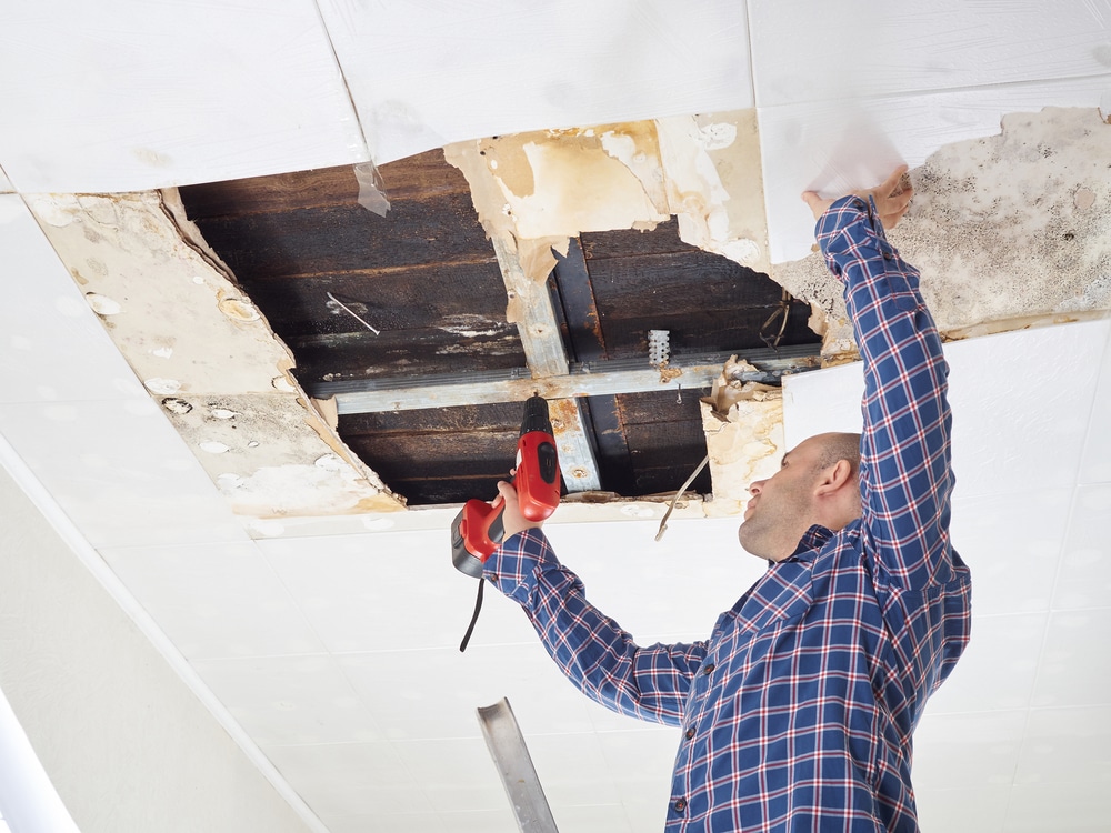 Most Common Summer Restoration Jobs in San Francisco, CA